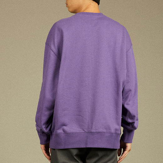 Dickies美式圆领卫衣男女同款镭射大LOGO休闲潮流套头上衣 DK012596 商品图12