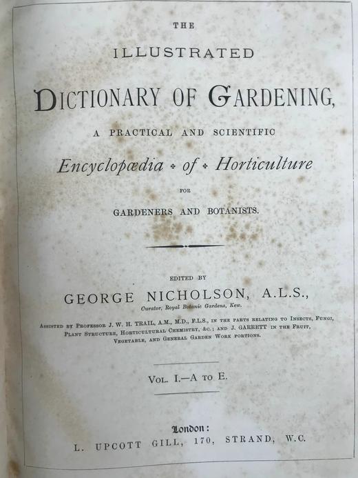 约19世纪后期 图解园艺词典（全4卷） 数百幅精美版画插图 漆布精装16开 商品图2