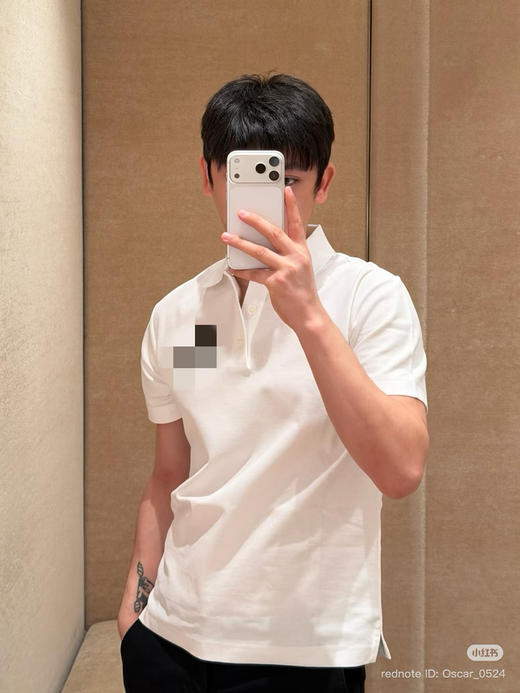 初九上新 马年穿彩马 bbr彩马刺绣 翻领polo短袖 商品图4