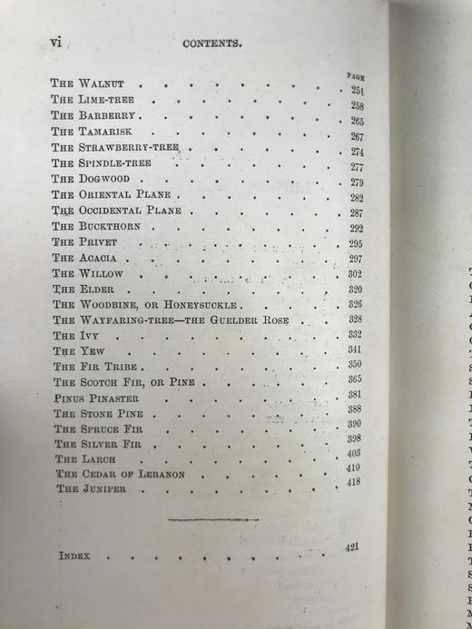 1886年 英国森林树木图鉴 百余幅插图 漆布精装32开 商品图4