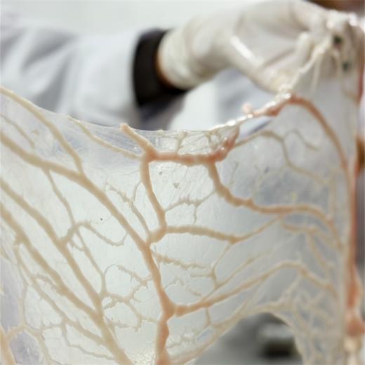 古法手作鸡卷 | 闽南宴席传统功夫菜 薄如蝉翼的新鲜网油 轻裹细嫩腿肉 清甜马蹄 浓郁脂香 商品图6