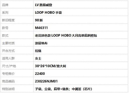 【98新】LV路易威登LOOP HOBO手袋M46311老花拼色款LOOP HOBO大月亮单肩斜挎包女士230226NJM01 商品图10