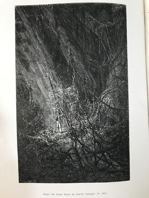 【法语】约19世纪后期 热带地区天文及自然科学研究 40幅版画插图  部分为彩色 真皮精装16开 商品图9