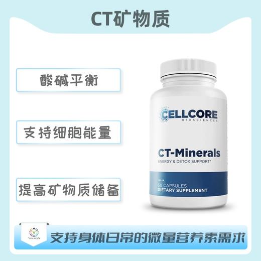 海外 CELLCORE   CT Minerals  CT矿物质 商品图0
