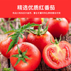 【酸甜可口❗️番茄沙司】精选优质红番茄，质地细腻酸甜可口，挤压瓶装食用方便，710g拌沙拉蘸薯条汉堡轻食吐司挤压瓶QQ 商品缩略图3