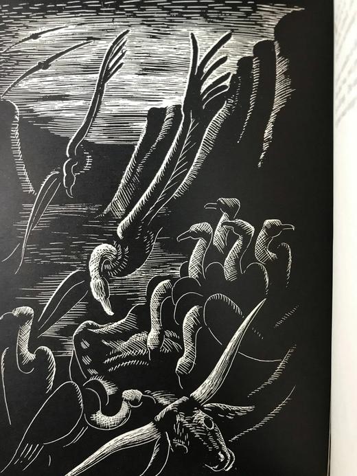 【阿非利卡语】限量2000册！1945年 普莱西斯《我们父辈的土地》 鲁克斯7幅插图 漆布精装18开 商品图9