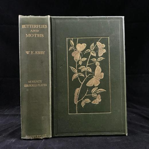 约20世纪早期 英国蝴蝶与蛾类图鉴 70页彩色插图 漆布精装大32开 商品图0