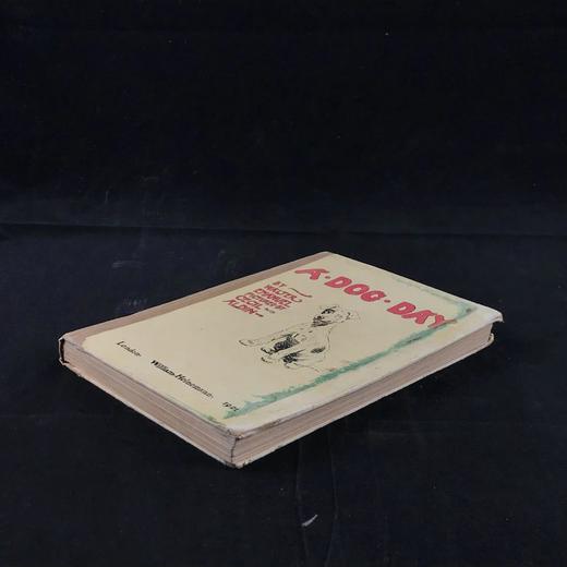 1921年 伊曼纽尔《小狗的一天》 塞西尔·奥尔丁精美插图 布脊精装36开 商品图1