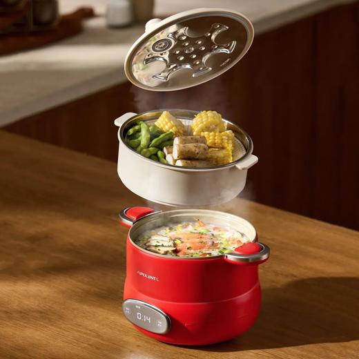 APIXINTL安本素-‌微压电饭煲 | 3L精致容量，满足2-4人食 商品图5