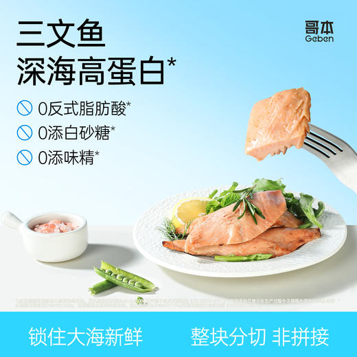 哥本™三文鱼 商品图0