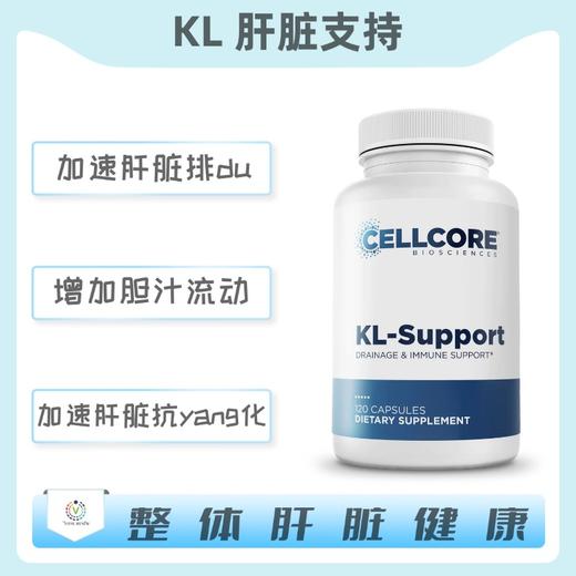 海外 CELLCORE   KL-Support  KL肝脏支持 商品图0