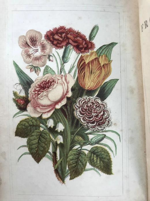 约19世纪后期 万国花卉图鉴 配多幅套色版画插图 漆布精装36开 商品图3