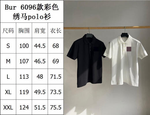 初九上新 马年穿彩马 bbr彩马刺绣 翻领polo短袖 商品图1