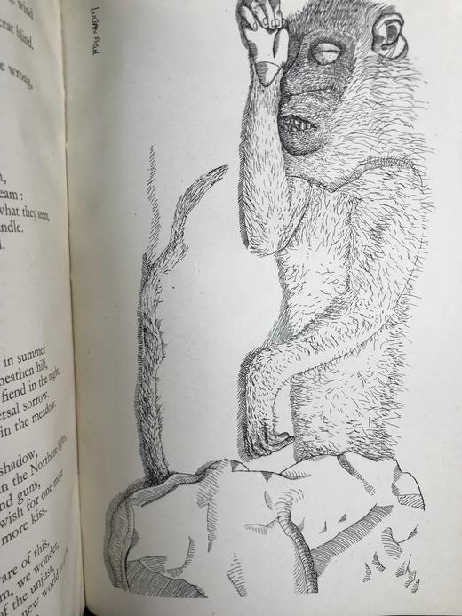 1944年 尼古拉斯·穆尔《玻璃塔》 卢西安·弗洛伊德艺术插图 精装32开 商品图12