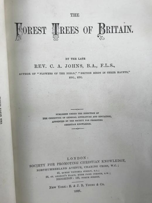 1886年 英国森林树木图鉴 百余幅插图 漆布精装32开 商品图2