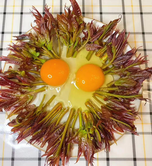 成都红油香椿芽 商品图0