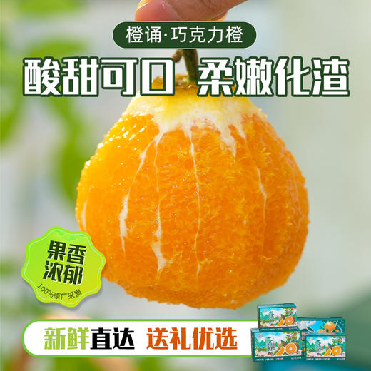 【京东快递】秭归宗橙（巧克力橙）皮薄娇嫩 产量小  14黄金甜 0.3%隐秘酸 100%视觉炸裂 - ACS 商品图3
