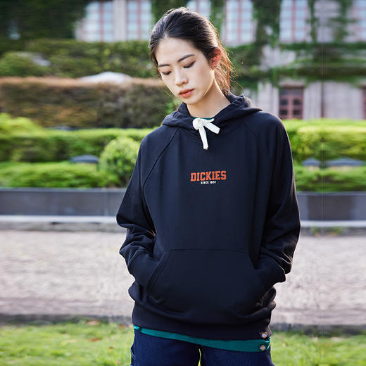 Dickies后背印花休闲连帽毛圈美式卫衣宽松 男女情侣简约百搭 DK0A87FE Y 商品图2