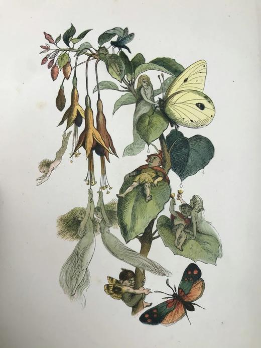 约19世纪末 安德鲁·朗格《无名公主：仙境传奇》 理查德·道尔彩色插图 布脊精装18开 商品图2