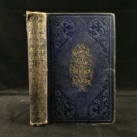 约19世纪后期 万国花卉图鉴 配多幅套色版画插图 漆布精装36开