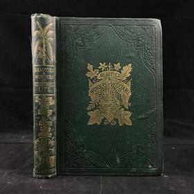 约19世纪后期 植物生命的美丽与奇观 数十幅版画插图 漆布精装36开