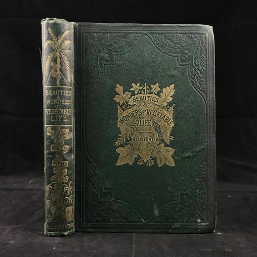 约19世纪后期 植物生命的美丽与奇观 数十幅版画插图 漆布精装36开 商品图0