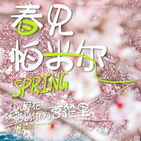 5天【南疆·春见帕米尔 】头等舱喀什古城 白沙湖 木吉火山口 帕米尔高原 雪柳公路 塔合曼湿地 瓦罕走廊 盘龙古道 库科西鲁克杏花 班迪尔蓝湖 卡拉库里湖 红其拉普国门-S-NJ05