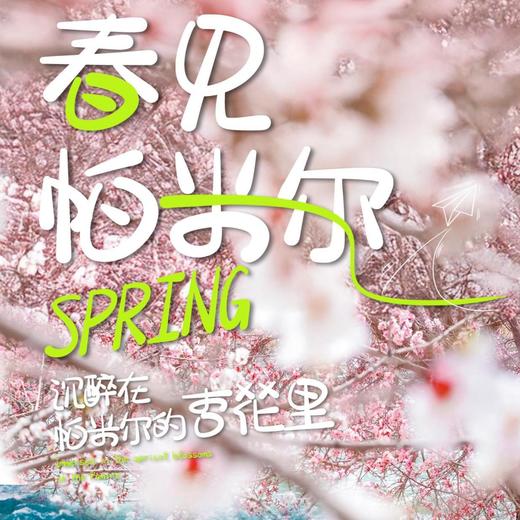 5天【南疆·春见帕米尔 】头等舱喀什古城 白沙湖 木吉火山口 帕米尔高原 雪柳公路 塔合曼湿地 瓦罕走廊 盘龙古道 库科西鲁克杏花 班迪尔蓝湖 卡拉库里湖 红其拉普国门-S-NJ05 商品图0