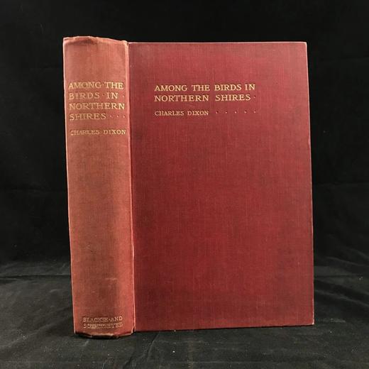 1900年 北方郡鸟类观察记录 1幅彩色40幅黑白插图 漆布精装32开 商品图0