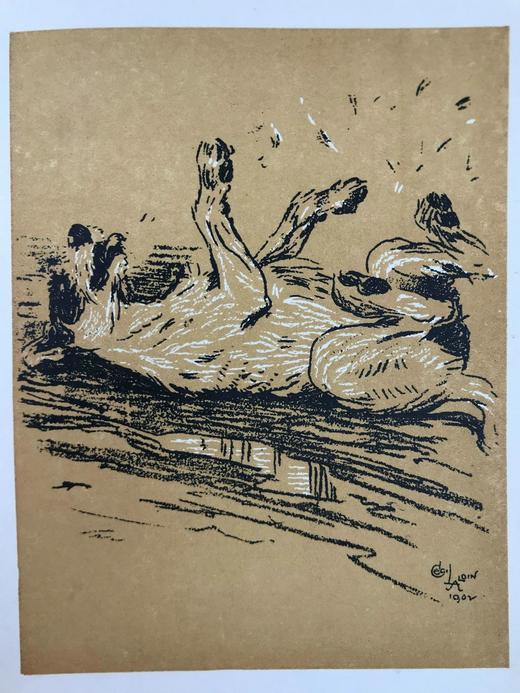 1921年 伊曼纽尔《小狗的一天》 塞西尔·奥尔丁精美插图 布脊精装36开 商品图7