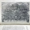 1876年 温室与暖房观叶植物 数十幅版画插图 漆布精装32开 商品缩略图6