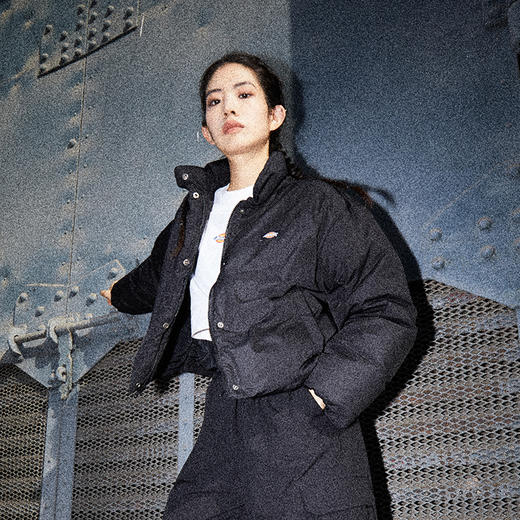 Dickies短款羽绒服男女同款休闲防泼水立领加厚保暖面包服外套DK0A87CA 商品图0