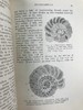 1910年 动物学纲要 420幅插图 漆布精装32开 商品缩略图13
