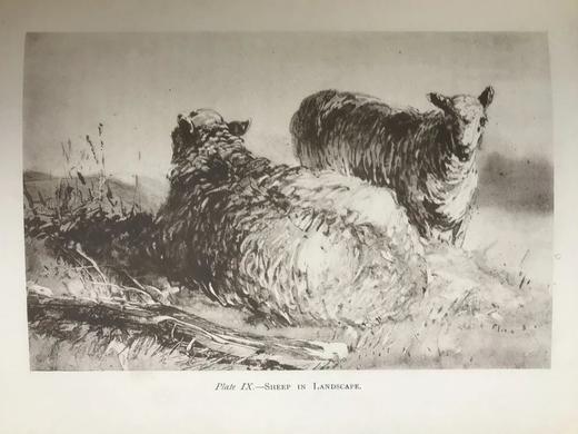 限量400册 1904年 约翰·罗德斯画集 19幅插图 漆布精装16开 商品图9