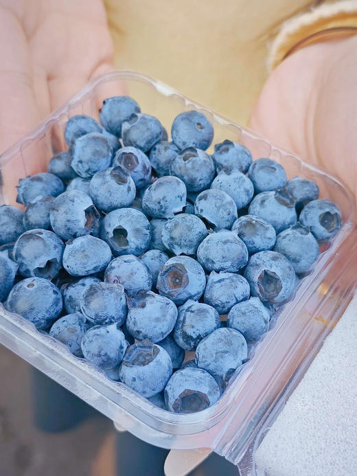 新鲜的浆果味道、几乎纯甜的口感、花香味浓郁，这三个条件它全都占了‼️6盒一组 商品图0