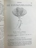 1910年 动物学纲要 420幅插图 漆布精装32开 商品缩略图8