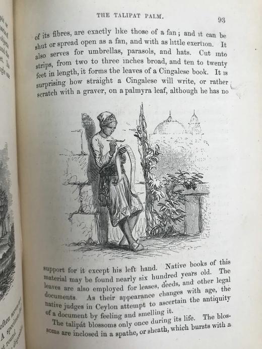 约19世纪后期 植物生命的美丽与奇观 数十幅版画插图 漆布精装36开 商品图14