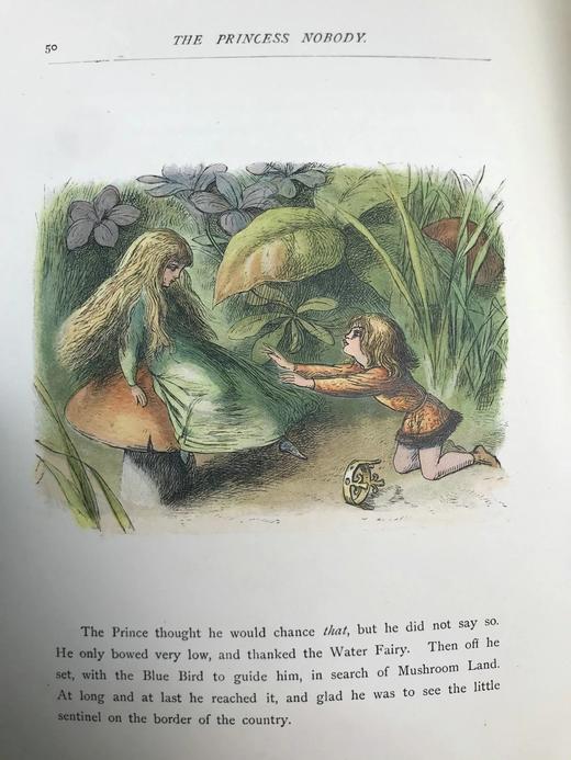 约19世纪末 安德鲁·朗格《无名公主：仙境传奇》 理查德·道尔彩色插图 布脊精装18开 商品图8