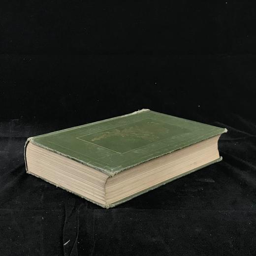 1909年 野外花卉图鉴 92幅彩色245幅黑白插图 漆布精装32开 商品图1
