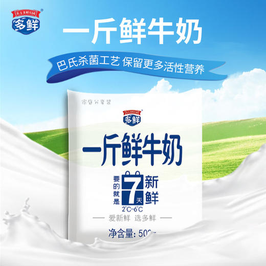 （6.0元/袋）东方一斤鲜牛奶 配送到家 商品图0