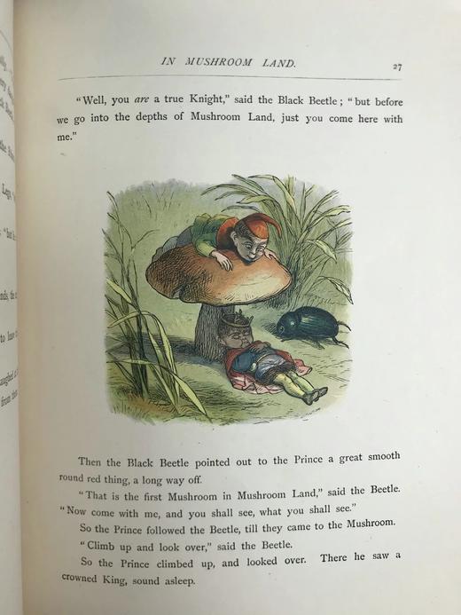 约19世纪末 安德鲁·朗格《无名公主：仙境传奇》 理查德·道尔彩色插图 布脊精装18开 商品图12