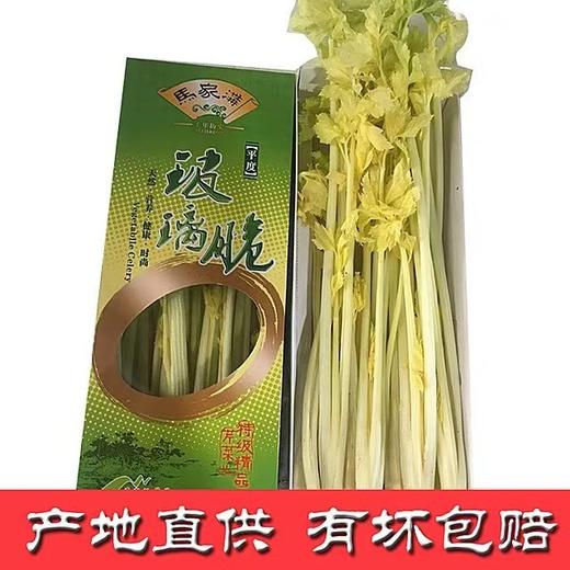 精品马家沟芹菜20斤 商品图1