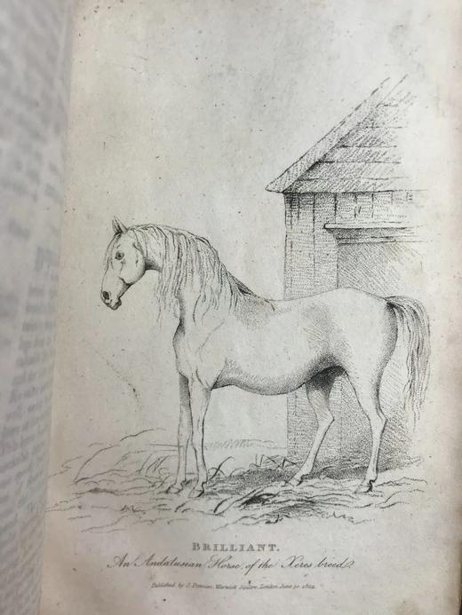 1824年 体育杂志：赛马、狩猎及其他趣味消遣活动月刊 数十幅版画擦图 真皮精装大32开 商品图10