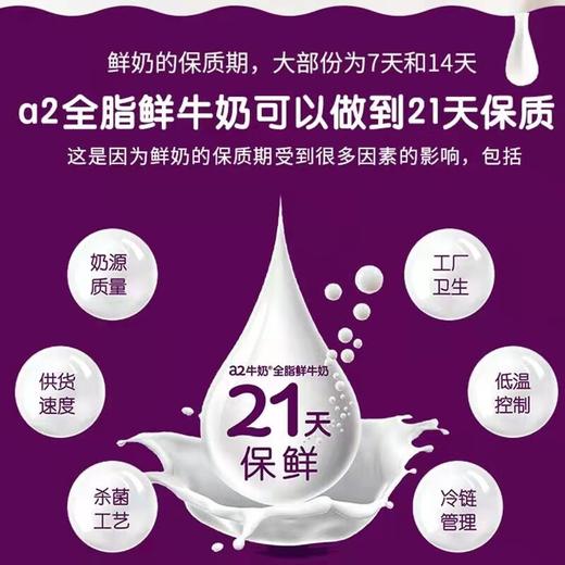 【每周二、周四发货 澳洲空运航班 顺丰冷链 不支持七天无理由】澳洲a2全脂低脂鲜奶A2β酪蛋白学生孕妇鲜牛奶巴氏杀菌进口早餐奶 商品图2