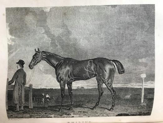 1824年 体育杂志：赛马、狩猎及其他趣味消遣活动月刊 数十幅版画擦图 真皮精装大32开 商品图7