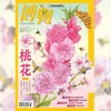 《博物》202603  桃花 专题+超级拉页 商品缩略图1