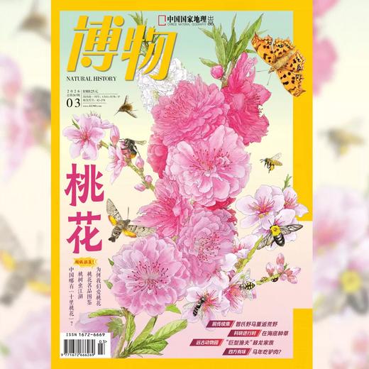 《博物》202603  桃花 专题+超级拉页 商品图1