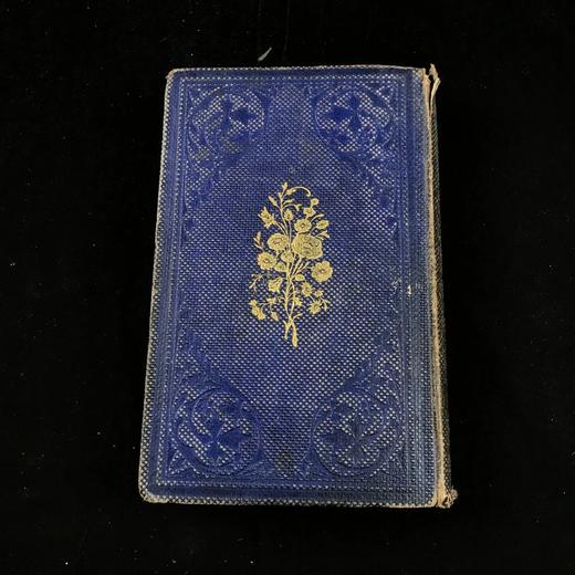 约19世纪后期 万国花卉图鉴 配多幅套色版画插图 漆布精装36开 商品图2