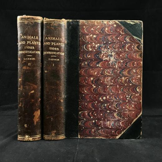 1875年 达尔文《动物和植物在家养下的变异》（全2卷） 43幅版画插图 真皮精装32开 商品图0