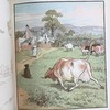 约19世纪后 凯迪克图画书 配大量彩色插图 漆布精装大32开 商品缩略图12